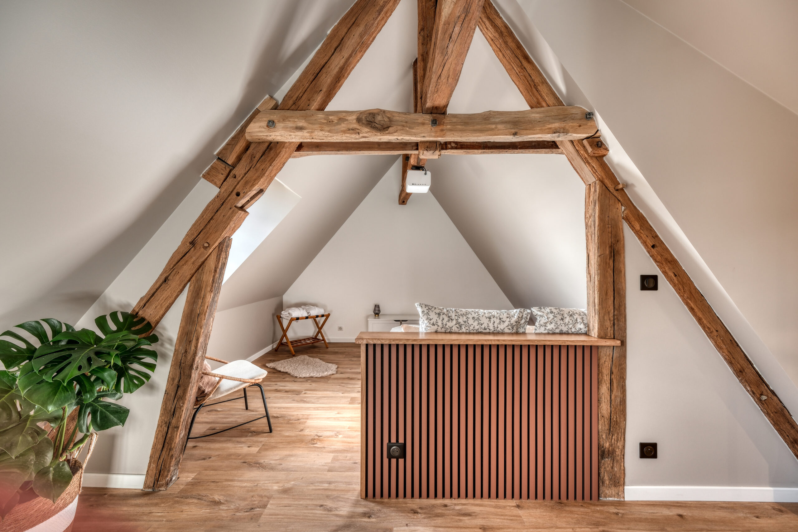 DSCF1002-scaled Gallerie