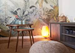 Selects-25_inPixio-scaled Le Petit Collégiale Saint-André